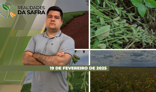 Realidades da Safra - Notícias Agrícolas