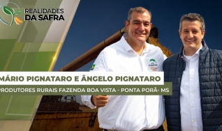 Irmãos Pignataro