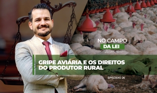 Leandro Marmo