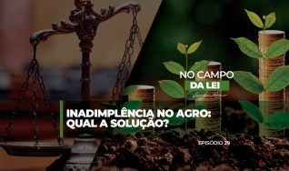 Paolla Alves, advogada da banca @joaodomingosadvogados