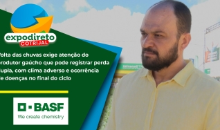 Lucas Navarini - Pesquisador e Professor