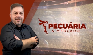 Pecuária e Mercado - Programa Completo