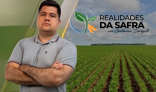 Realidades da Safra - Notícias Agrícolas