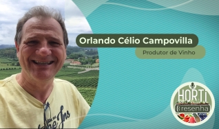 Orlando Campovilla - Produtor de Vinho em Vinhedo/SP