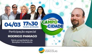 Conexão campo cidade