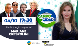 Conexão Campo Cidade -