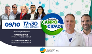 Conexão Campo Cidade -