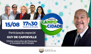 Conexão Campo Cidade