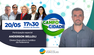Conexão Campo Cidade -