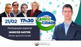 Café brasileiro: qualidade e potencial de alcance internacional