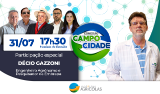 Conexão Campo Cidade -