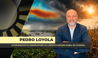 Pedro Loyola - Coordenador do Observatório do Crédito e Seguro Rural do FGVAgro