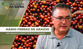 Mário Ferraz de Araújo - Ger. Desenvolvimento Técnico da Cooxupé