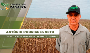 Antônio Rodrigues Neto - Técnico Agrícola da Casa da Lavoura de Dourados