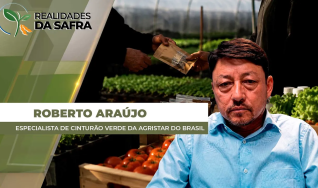 Roberto Araújo - Especialista de Cinturão Verde da Agristar do Brasil
