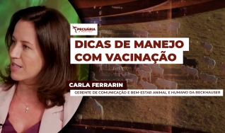 Carla Ferrarin - Gerente de Comunicação e Bem-Estar Animal e Humano da Beckhauser