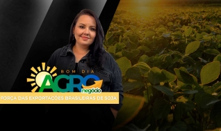 Bom Dia Agro - Com Carla Mendes