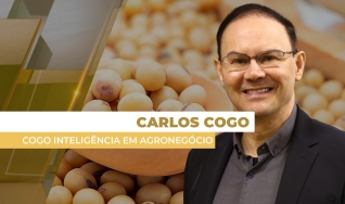 Carlos Cogo - Cogo Inteligência em Agronegócio