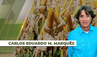 Carlos Eduardo M. Marquêz - Presidente do Sindicato Rural de Caarapó/MS