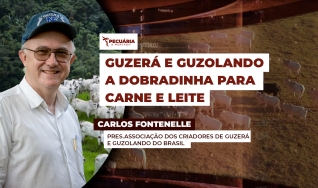 Carlos Fontenelle - Presidente da Associação dos Criadores de Guzerá e Guzolando do Brasil