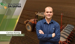 Carlos Konig - Gerente Técnico C.Vale