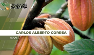 Carlos Alberto Correa - Ceplac