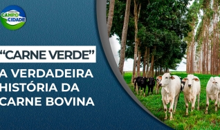 Conexão Campo Cidade
