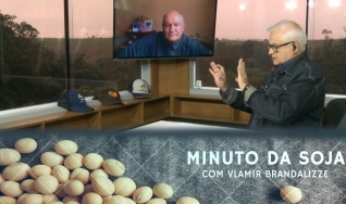 Tempo  & Dinheiro - Minuto da Soja, com Vlamir Brandalizze