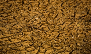 Daniel Pereira Guimarães - Pesquisador da Embrapa Milho e Sorgo
