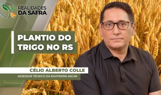 Célio Alberto Colle - Assessor Técnico da Emater/RS-Ascar