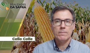 Celio Colle - Extensionista Rural e Assessor técnico da Emater/RS-Ascar