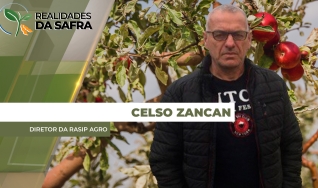 Celso Zancan - Diretor da Rasip Agro