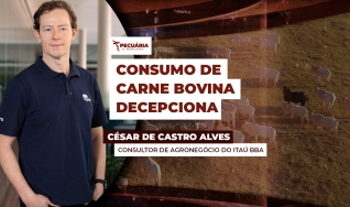 César de Castro Alves - Consultor de Agronegócio do Itaú BBA