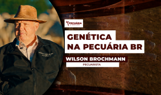 Wilson Brochmann - Pecuarista