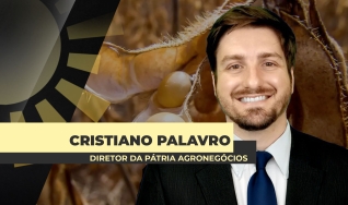 Cristiano Palavro - Diretor da Pátria Agronegócios
