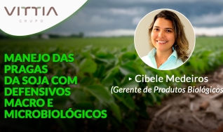 Confira a palestra de Cibele Medeiros