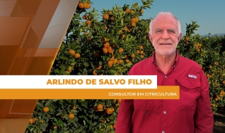 Arlindo de Salvo Filho - Consultor em Citricultura