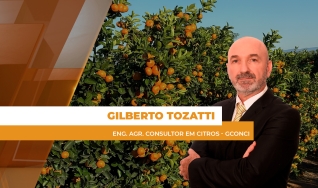 Gilberto Tozatti - Eng. Agr. Consultor em Citros - GCONCI