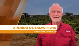 Arlindo de Salvo Filho - Consultor em Citricultura