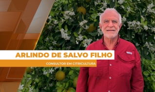 Arlindo de Salvo Filho - Consultor em Citricultura