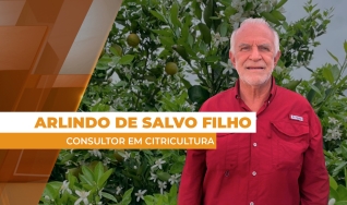 Arlindo de Salvo Filho - Consultor em Citricultura