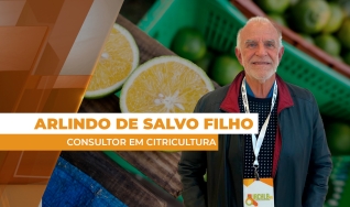 Arlindo de Salvo Filho - Consultor em Citricultura
