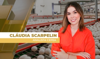 Claudia Scarpelin