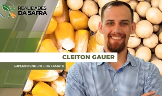 Cleiton Gauer - Superintendente da Famato