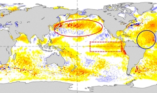 Luiz Carlos Molion - Climatologista