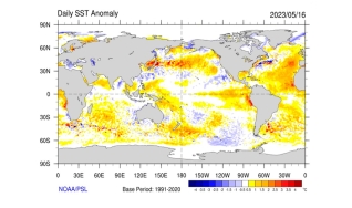 Estael Sias - Meteorologista - Metsul