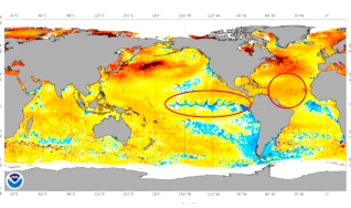 Celso Oliveira - Meteorologista  Sênior  da Safira Energia