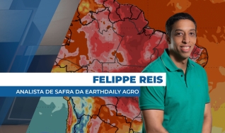 Felippe Reis - Analista de Safra da EarthDaily Agro
