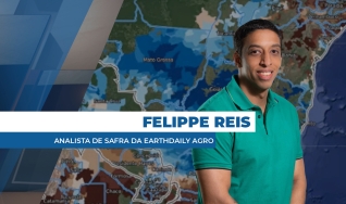 Felippe Reis - Analista de Safra da EarthDaily Agro