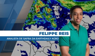 Felippe Reis - Analista de Safra da EarthDaily Agro